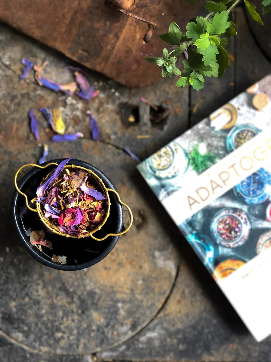 Herbs and the Adaptogens Book